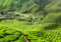 金马仑高原_全球百科